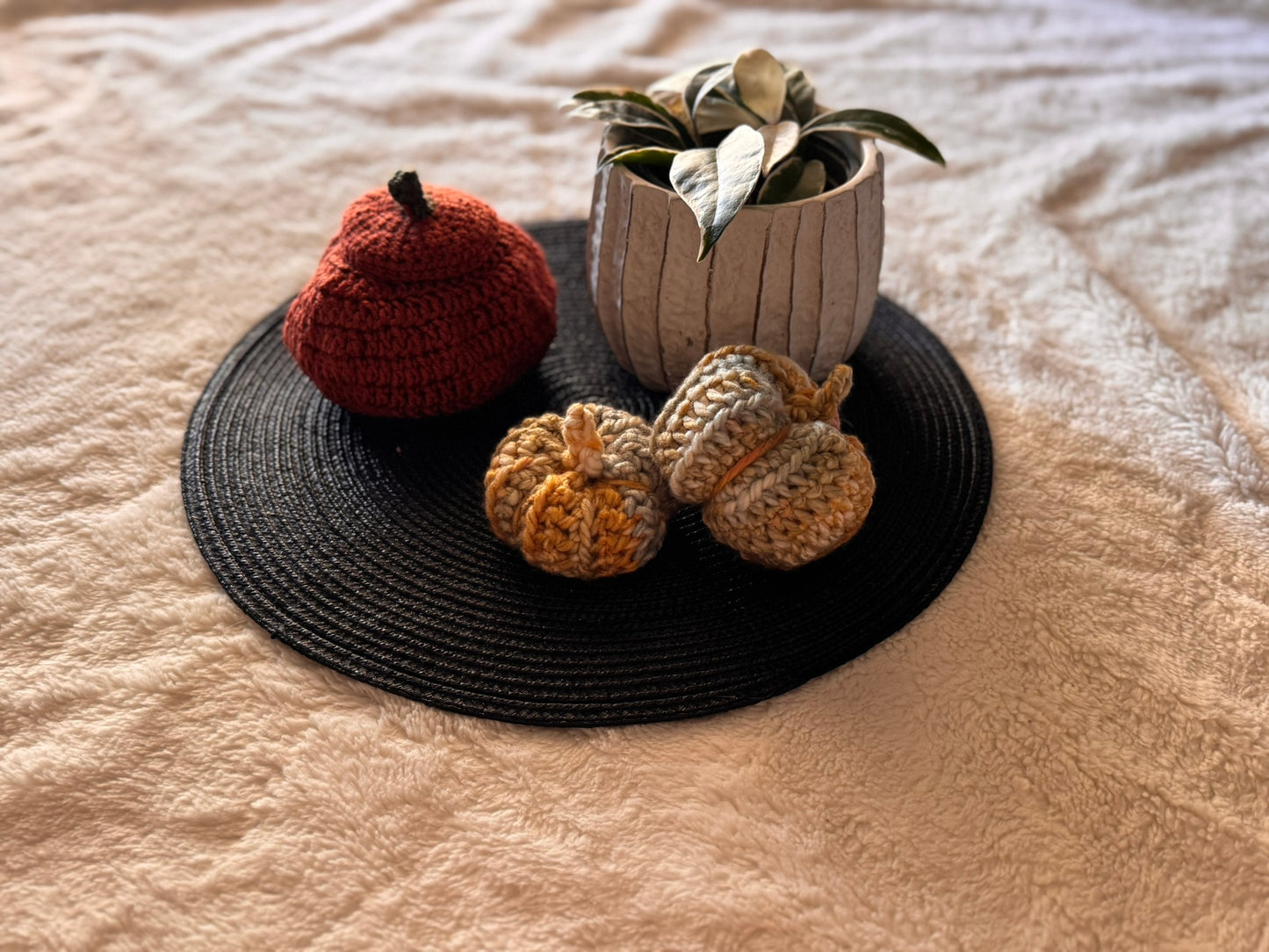 Pumpkin Coasters