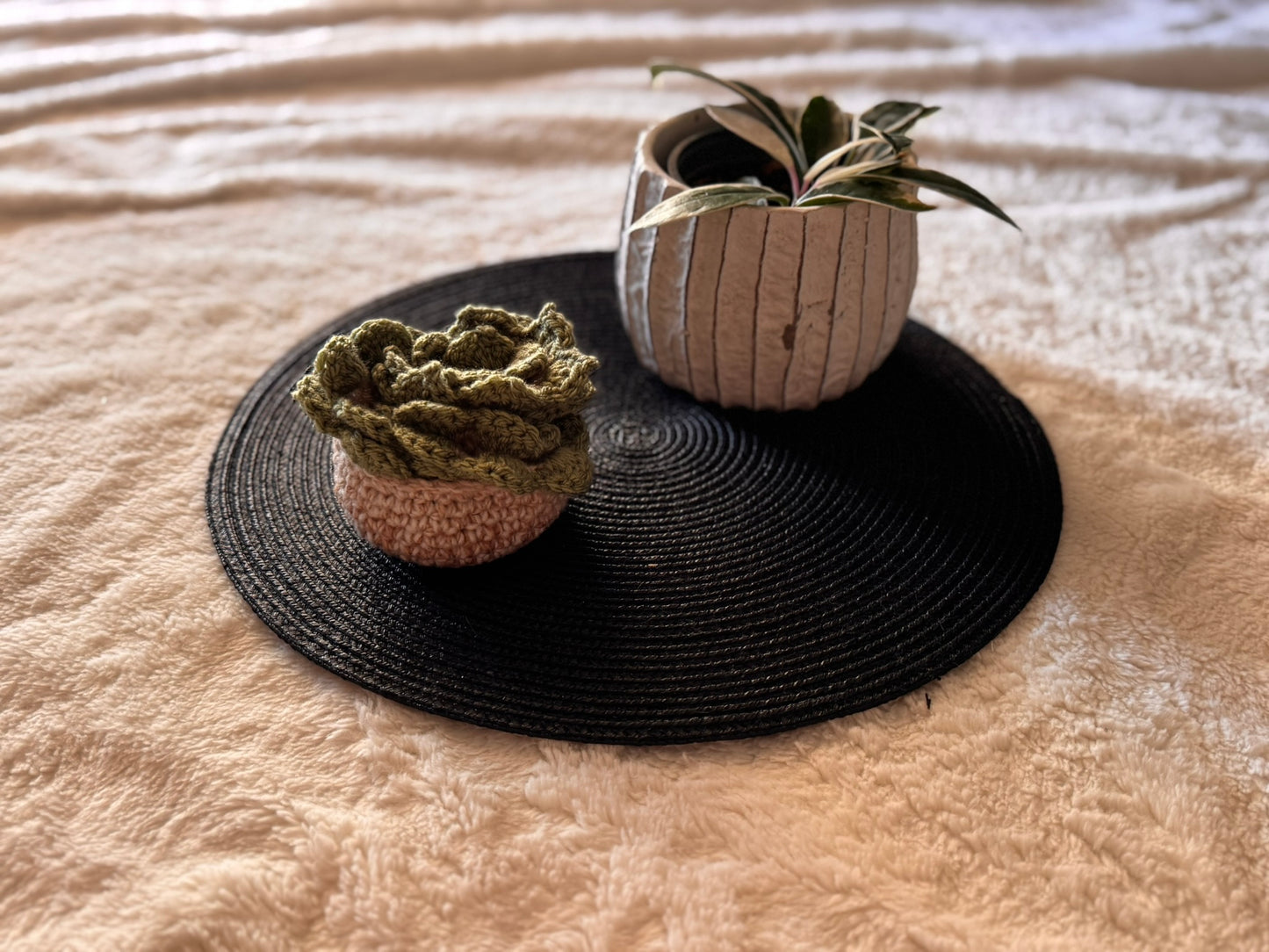 Succulent Coasters
