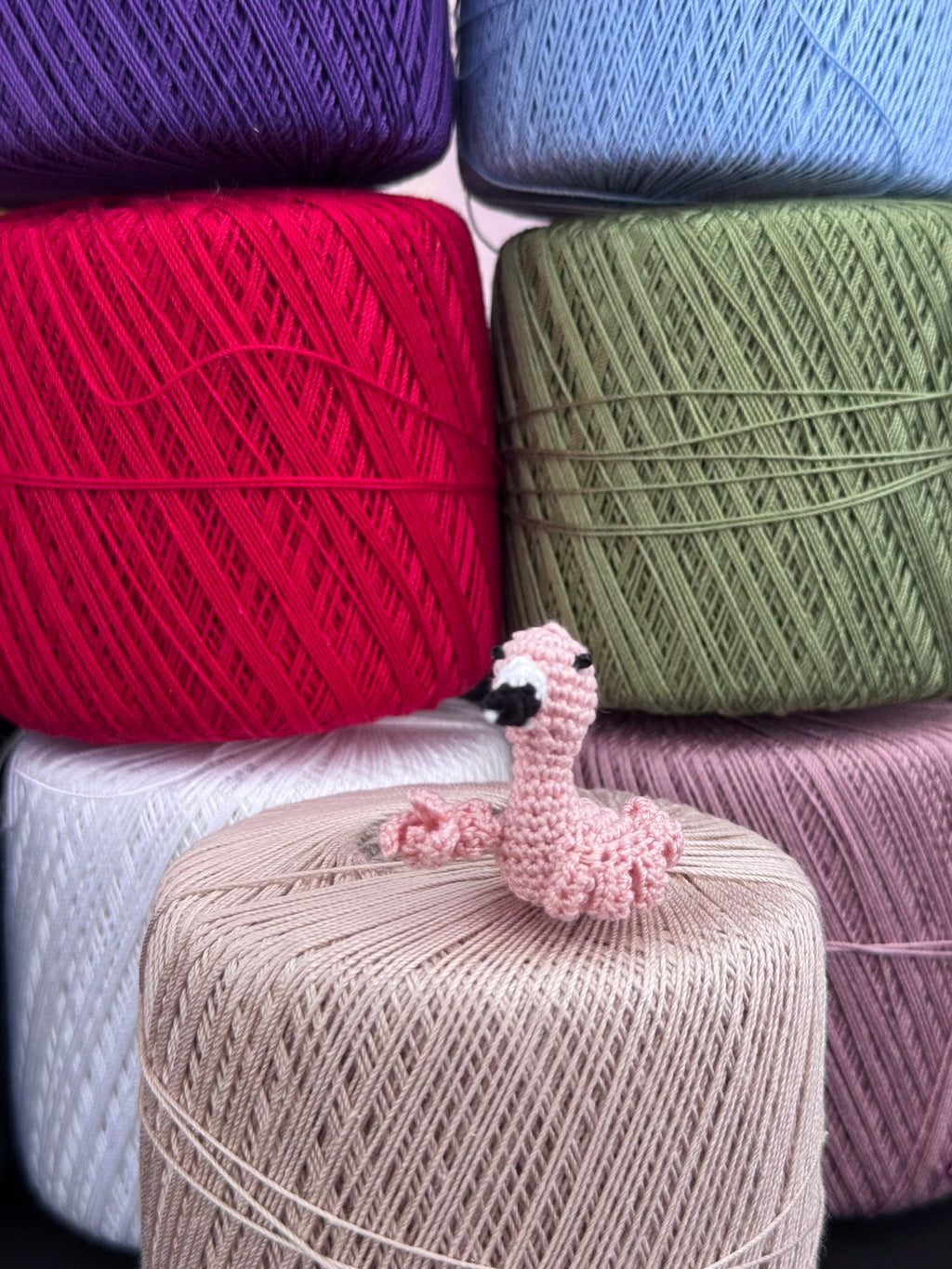 Flamingo